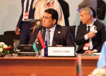 المنفي يعبر عن رغبته في أن تلعب ليبيا دوراً أكبر في تطوير العلاقات التركية الإفريقية