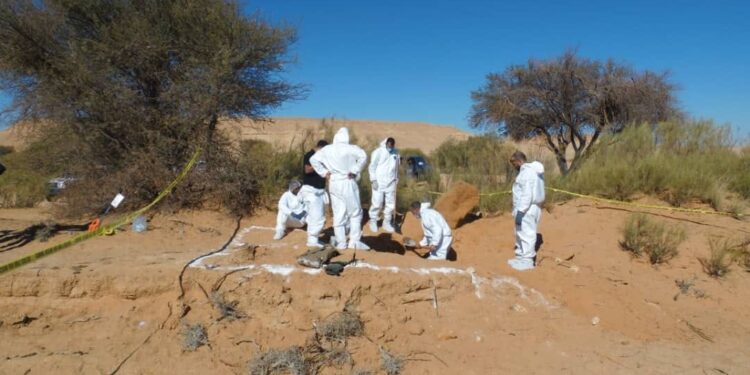 جهاز المباحث الجنائية يعلن اكتشاف مقبرتين جماعيتين بالقرب من مزدة
