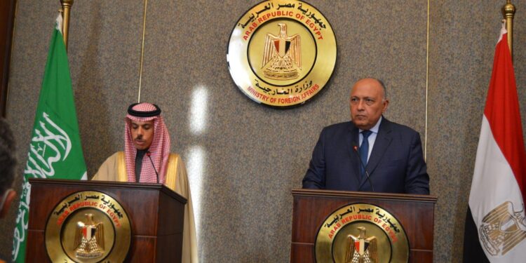 القاهرة والرياض تؤكدان أهمية الحفاظ على استقرار ليبيا وإجراء الانتخابات في موعدها