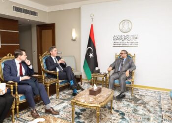 المشري يجدد الدعوة للمجتمع الدولي للمساهمة في إنجاح المسار السياسي