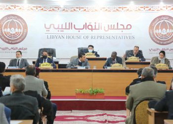 لجنة خارطة الطريق تكشف عن خطتها لمعالجة المسار الدستوري