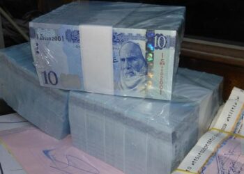 الإنفاق العام لـ2021…يصفه محللون بالأضخم وتقول الحكومة إنه الأقل منذ 10 سنوات