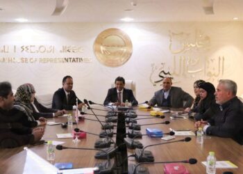 لجنة خارطة الطريق تعلن نيتها عقد لقاءات مع كل الأجسام والأطراف السياسية للاستماع لمقترحاتهم