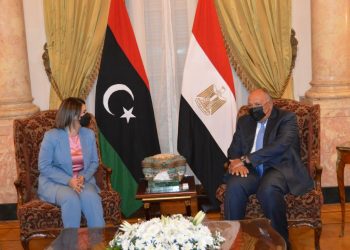 الخارجية المصرية: الموقف الرسمي يعبر عنه من خلال البيانات الرسمية