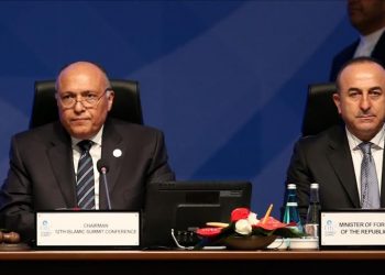 ليبيا على طاولة مفاوضات تطبيع العلاقات بين تركيا ومصر