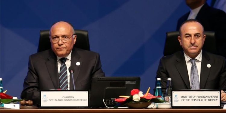 ليبيا على طاولة مفاوضات تطبيع العلاقات بين تركيا ومصر