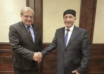 جهود دولية لدعم اجتماعات القاهرة وتقارب بين مجلسي النواب والدولة