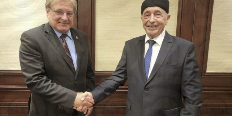 جهود دولية لدعم اجتماعات القاهرة وتقارب بين مجلسي النواب والدولة