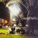دراسة تحت إنارة الرصيف