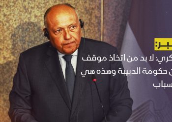 شكري: لا بد من اتخاذ موقف من حكومة الدبيبة وهذه هي الأسباب
