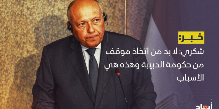 شكري: لا بد من اتخاذ موقف من حكومة الدبيبة وهذه هي الأسباب