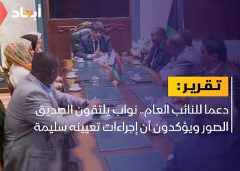 دعما للنائب العام.. نواب يلتقون الصديق الصور ويؤكدون أن إجراءات تعيينه سليمة