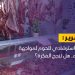 قرار حكومي لمواجهة ارتفاع أسعار اللحوم.. هل ينجح؟