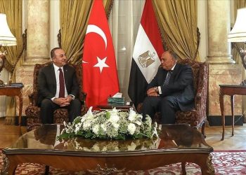 بعد قطيعة سنوات.. تشاووش أوغلو وشكري يبحثان قضايا سياسية وملفات إقليمية