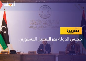 مجلس الدولة يقر التعديل الدستوري
