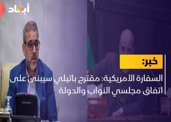مجلس الدولة والتعديل الدستوري ..الإقرار والبطلان