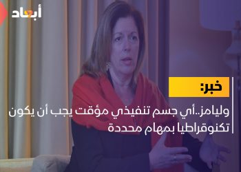 وليامز..أي جسم تنفيذي مؤقت يجب أن يكون تكنوقراطيا بمهام محددة