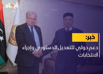 دعم دولي للتعديل الدستوري وإجراء الانتخابات