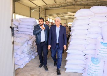 دعما لمربي المواشي ..باشاغا يأذن بانطلاق عملية توزيع الأعلاف