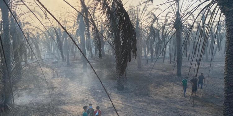 بعد حريق جالو.. مخاوف من اندلاع حرائق أخرى بالمزارع