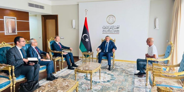 تكالة وسولير يبحثان ملف الانتخابات والمصالحة الوطنية