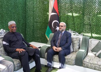 بعد عقيلة ..المشري يبحث مع باتيلي إجراء الانتخابات بناء على قوانين لجنة 6+6