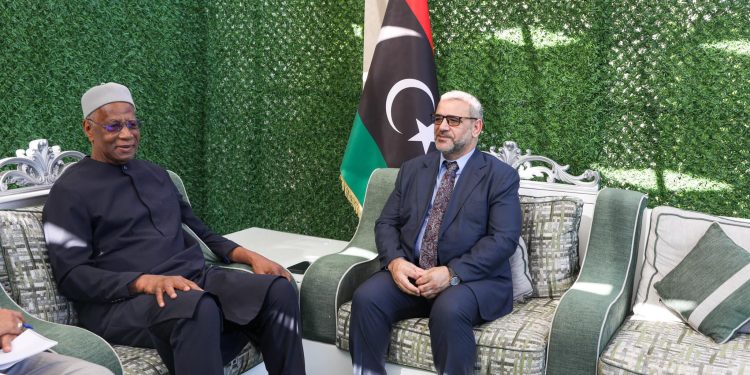 بعد عقيلة ..المشري يبحث مع باتيلي إجراء الانتخابات بناء على قوانين لجنة 6+6