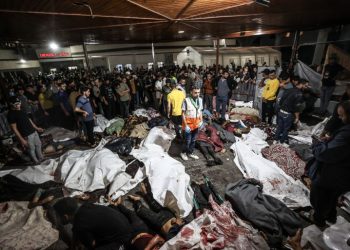 قصف مستشفى المعمداني..إبادة جماعية ينتهجها الاحتلال