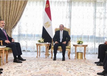 السيسي وفيدان يؤكدان دفع مسار العلاقات الثنائية والانتقال إلى مرحلة جديدة وتطورات غزة