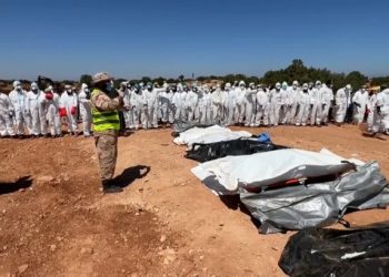 السيوي لـ أبعاد: إحصائية عينات الحمض النووي المأخوذة من جثامين ضحايا دانيال تجاوزت 77%