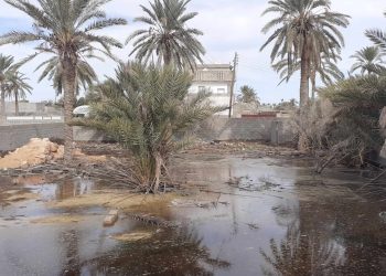 جهاز تنفيذ مشروعات الإسكان: غير قادرين على تشخيص حالة المياه الجوفية السوداء في زليتن