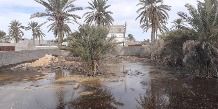 جهاز تنفيذ مشروعات الإسكان: غير قادرين على تشخيص حالة المياه الجوفية السوداء في زليتن