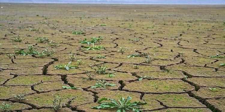 الجنوب الليبي ..استنزاف مائي ومخاطر جمة