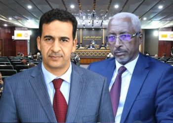 نائبا عقيلة وتكالة: علينا تحمل مسؤولياتنا لحل أزمة ليبيا