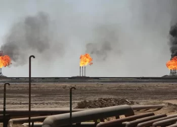 هل يمكن للشركات المحلية تطوير حقل الحمادة؟