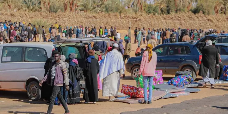 بلدي الكفرة لـ أبعاد: 20 ألف شهادة صحية صدرت لنازحي السودان في الكفرة