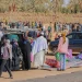 بلدي الكفرة لـ أبعاد: 20 ألف شهادة صحية صدرت لنازحي السودان في الكفرة