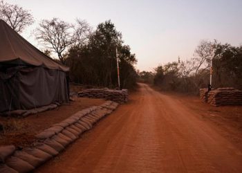 ديلي مافريك: الليبيون المقبوض عليهم في جنوب إفريقيا لهم ارتباط بحفتر