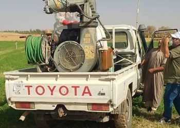 الجراد الإفريقي ..يأتي على الأخضر واليابس