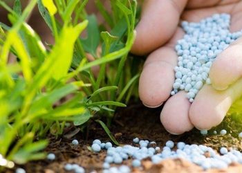 الاتحاد الأوروبي والمواصفة القياسية الليبية بشأن الأسمدة البوتاسية..جدل قائم