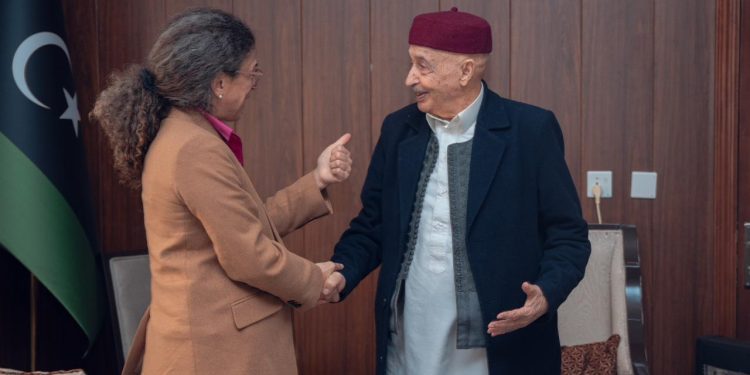 عقيلة يتفق مع خوري على ضرورة تشكيل حكومة موحدة للوصول إلى الانتخابات