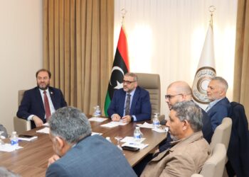 مجلس الدولة يشكل 4 لجان للتواصل مع مجلس النواب