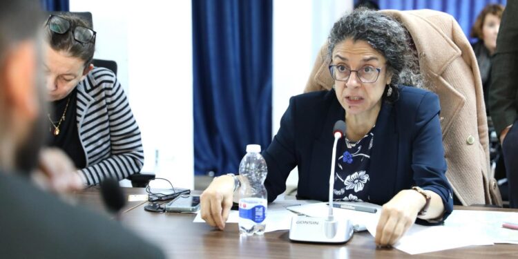 مصدر دبلوماسي: اللجنة الاستشارية ستعمل على وضع المقترحات لتجاوز العقبات دون إجراء الانتخابات