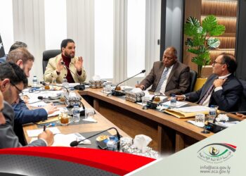 إيقاف التعيين والتعاقد لشغل الوظائف العامة..ماذا بعد؟