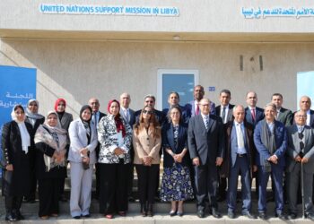 لليوم الثاني على التوالي اللجنة الاستشارية تواصل اجتماعاتها ..ما التفاصيل؟