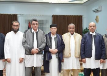 الأداء الرقابي وإدارة المال العام ..محور مباحثات عقيلة وشكشك