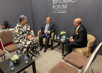 وزير الخارجية المصري يؤكد ضرورة تسوية الأزمة في ليبيا دون تدخلات خارجية