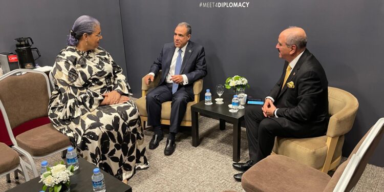 وزير الخارجية المصري يؤكد ضرورة تسوية الأزمة في ليبيا دون تدخلات خارجية