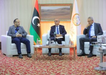 مبادرة اللافي السياسية .. مقاربات متعددة