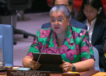 السياسة والاقتصاد والنفط والوضع الحقوقي.. إحاطة شاملة من تيته أمام مجلس الأمن